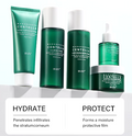 Glowly Snow Grass Ritual Set — Complete Skincare Routine